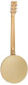 Tanglewood, Banjo 6 cordes TWB 18 M6