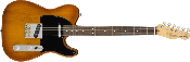 Fender, American Performer Telecaster®, Rosewood Fingerboard, Honey Burst