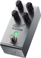 JACKSON AUDIO, BLOSSOM, compresseur