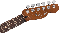 Fender, Acoustasonic® Standard Telecaster®, Honey Burst