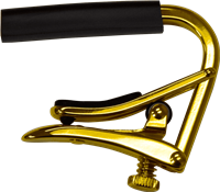 Capodastre Shubb pour Guitare 12 cordes
