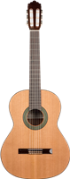 Prodipe Guitars, 4/4 Soloist 500