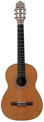 Prodipe Guitars, Primera 3/4 Gaucher