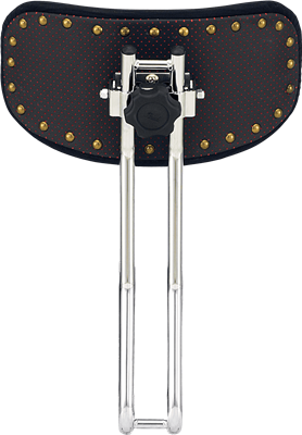 Pearl, DOSSIER D-3500BR