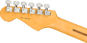 Fender, American Professional II Stratocaster®, Maple Fingerboard, Dark Night