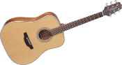 Takamine, GD20 Naturelle