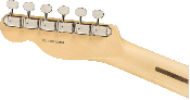 Fender, American Performer Telecaster® with Humbucking, Rosewood Fingerboard, Au