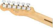 Fender, Player Telecaster®, Pau Ferro Fingerboard, Polar White