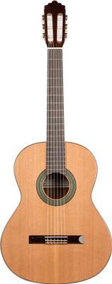 Prodipe Guitars, 4/4 Soloist 500