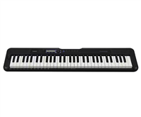 Casio, Clavier arrangeur CT-S300
