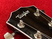 Taylor, T5z Standard, Tobacco Sunburst