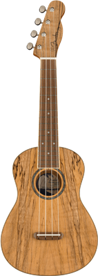 Fender, Zuma Exotic Concert Ukulele, Walnut Fingerboard, Spalted Maple