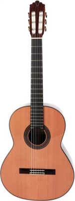 Prodipe Guitars, 4/4 Soloist 900