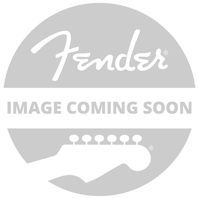 Fender, American Professional II Precision Bass® Left-Hand, Maple Fingerboard, M