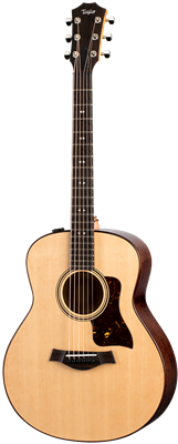 Taylor, GTe Urban ASH/SPRUCE ES2