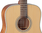 Takamine, GD20 Naturelle