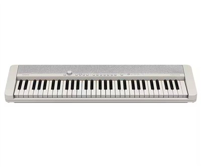 Casio, Clavier arrangeur CT-S1 WH