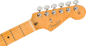 Fender, American Professional II Stratocaster®, Maple Fingerboard, Roasted Pine