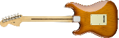 Fender, American Performer Stratocaster®, Rosewood Fingerboard, Honey Burst