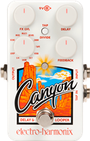 ELECTRO-HARMONIX, NANO CANYON, looper