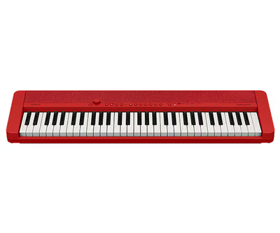 Casio, Clavier arrangeur CT-S1 RD