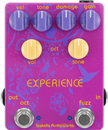 TSAKALIS AUDIOWORKS, EXPERIENCE, fuzz
