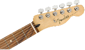 Fender, Player Telecaster®, Pau Ferro Fingerboard, Polar White