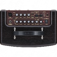 Boss, Ampli Acoustique AC-22LX