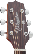Takamine, GD20 Naturelle