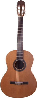 Stock B ** Prodipe Guitars, Conservatoire Student 4/4