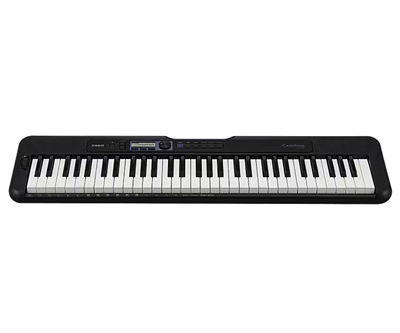 Casio, Clavier arrangeur CT-S300