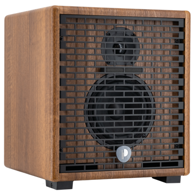 Prodipe, Ampli combo Guitare Electro Acoustique Natural 05