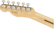 Fender, American Performer Telecaster® with Humbucking, Maple Fingerboard, Vinta