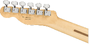 Fender, Player Telecaster®, Maple Fingerboard, Butterscotch Blonde