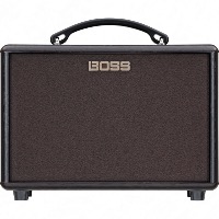 Boss, Ampli Acoustique AC-22LX