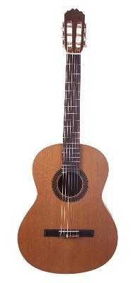 Prodipe Guitars, Primera 1/2