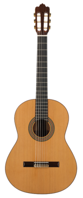 Prodipe Guitars, 4/4 Soloist 700