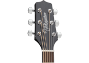 Takamine, GD30 Noire Dreadnought