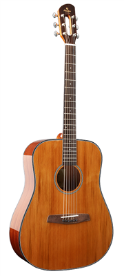 Prodipe Guitars, SD200