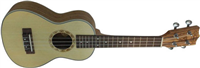 Prodipe Guitars, Ukulele Concert BC25 23" Spruce Zebra