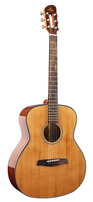Prodipe Guitars, SGA200