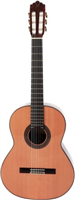 Prodipe Guitars, 4/4 Soloist 900